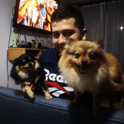 testimonios perros pomerania medellin